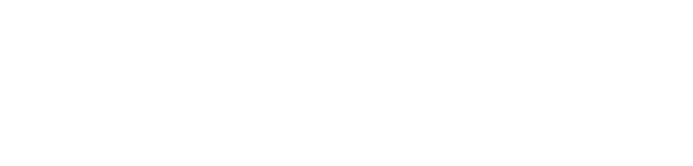salaheddine anebri